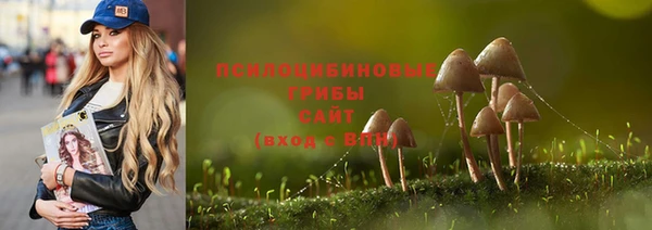 таблы Армянск