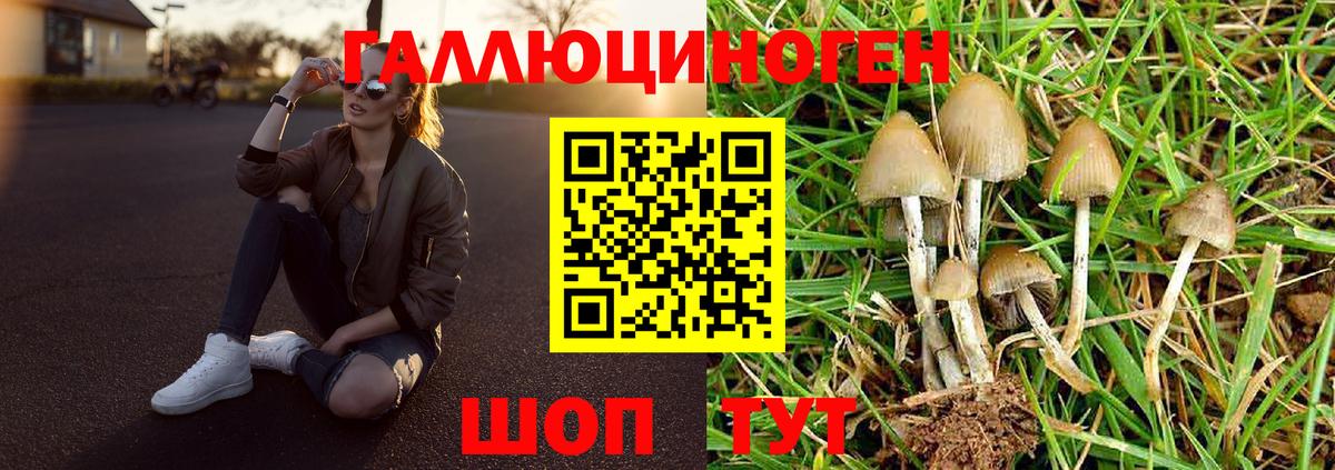 как найти наркотики  Вход с VPN  Курганинск  Галлюциногенные грибы прущие грибы 