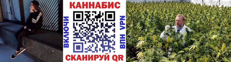 цены наркотик Курганинск мега онион Бошки марихуана ГИДРОПОН